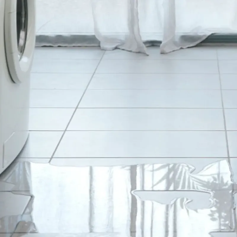 Appliance Leak Cleanup in Monroe, GA