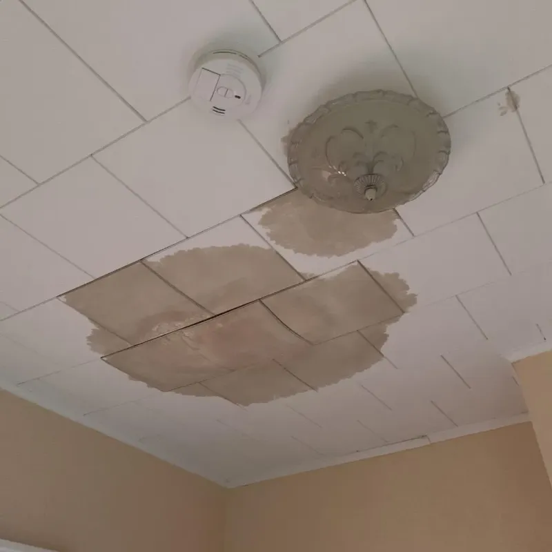 Ceiling Water Damage Repair in Monroe, GA
